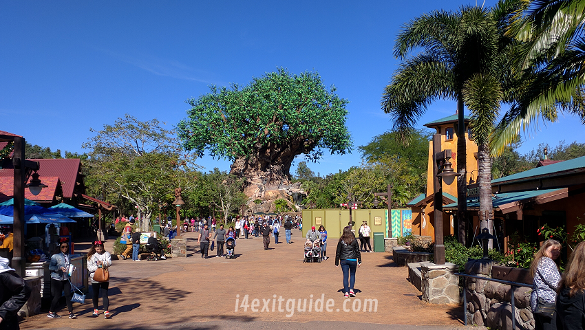 Disney's Animal Kingdom Honors Two Decades of Wild Encounters With 20th